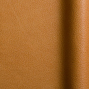 Symphony Safran