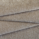 Safari 10 Dune